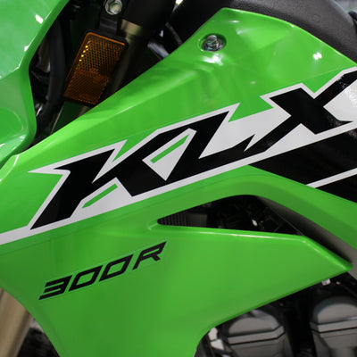 2025 KAWASAKI KLX300 R