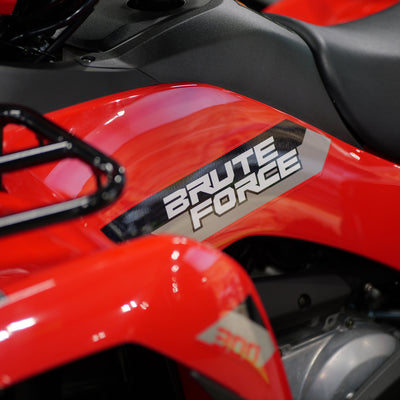 2026 KAWASAKI BRUTE FORCE 300