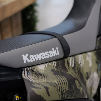 2026 KAWASAKI KLX300