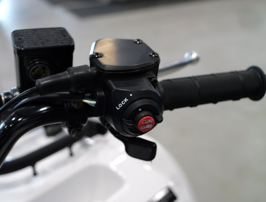 2025 KAWASAKI BRUTE FORCE 450