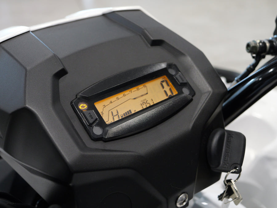 2025 KAWASAKI BRUTE FORCE 450